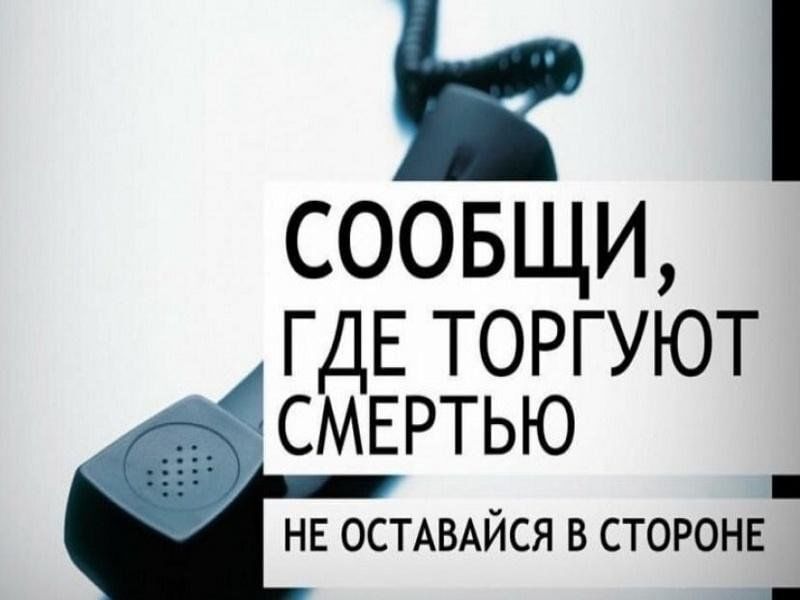 Сообщи, где торгуют смертью.